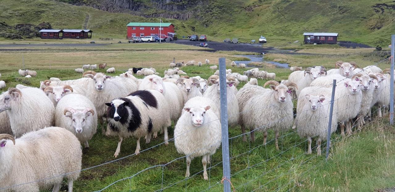 Holaskjol Highland Center Kirkjubæjarklaustur Eksteriør billede